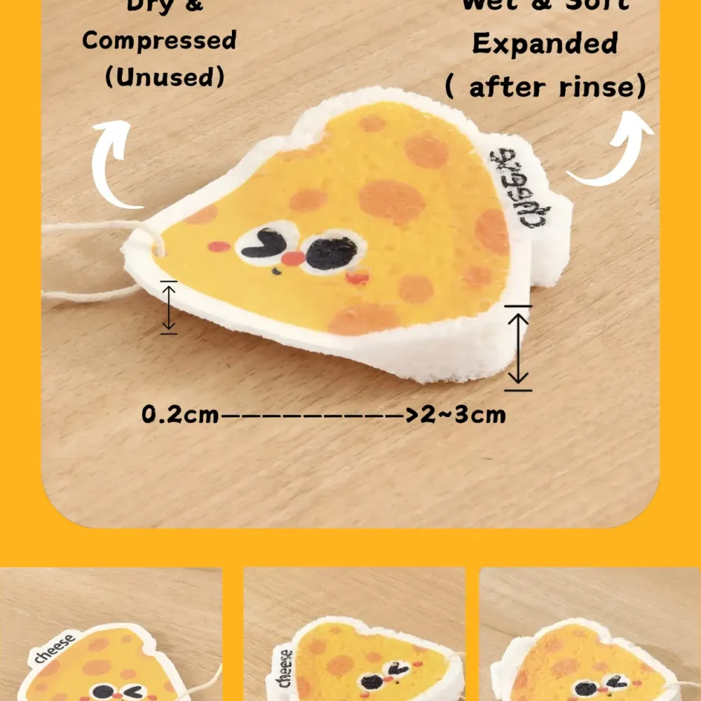 Food-shaped cellulose sponge showing dry compressed and expanded after rinse with hanging loop